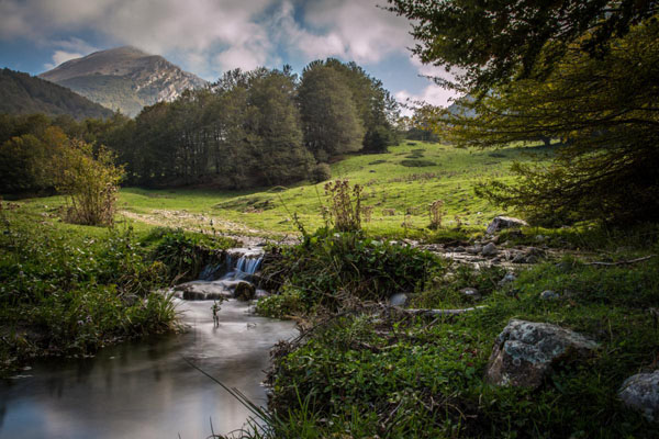 Pollino