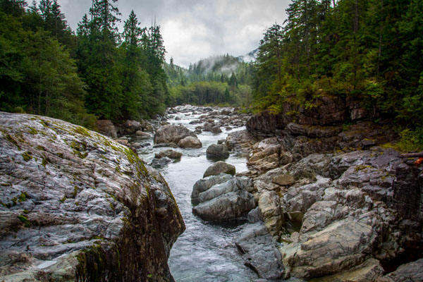 Vancouver Island Creek